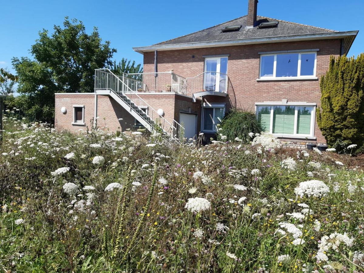De Notelaar Kortessem Eksteriør billede